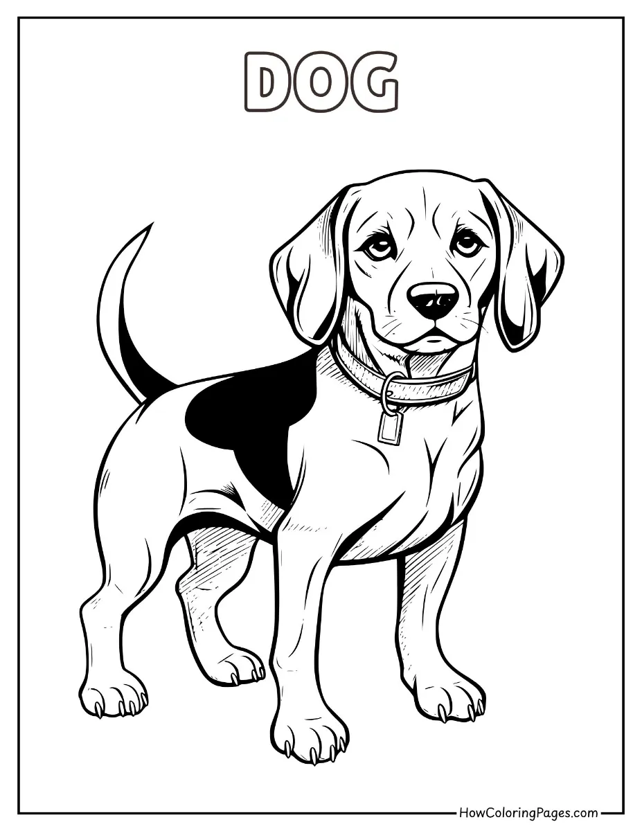 🐄 Farm Animal Coloring Pages – Free PDF Printables for All Ages 18 Farm animal coloring page dog