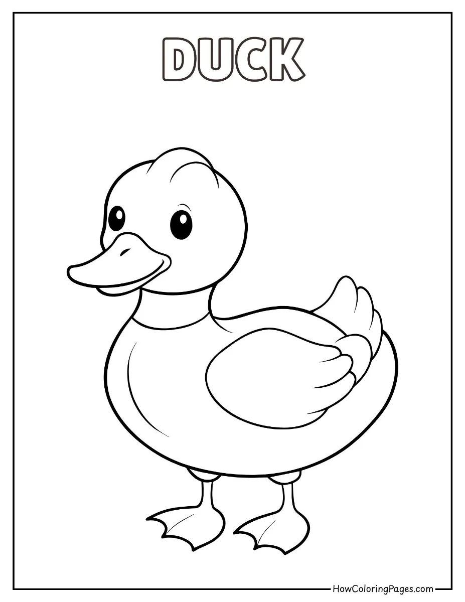 🐄 Farm Animal Coloring Pages – Free PDF Printables for All Ages 17 Farm animal coloring page duck
