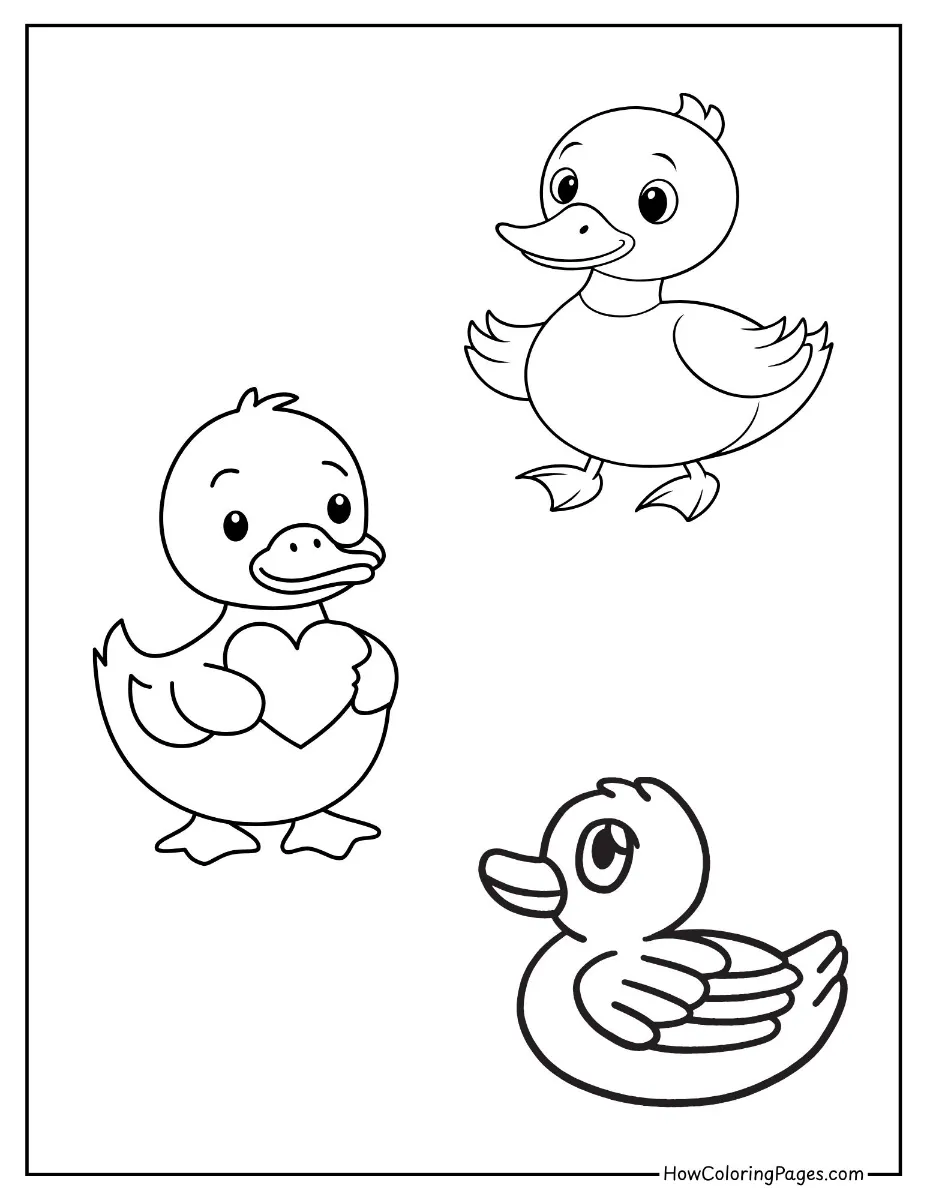 🐄 Farm Animal Coloring Pages – Free PDF Printables for All Ages 7 Farm animal coloring page duckling