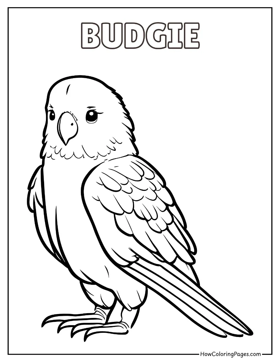 🐾 Pet Animal Coloring Pages – Free PDF Printables for All Ages 15 Budgie bird sitting – simple pet coloring sheet.