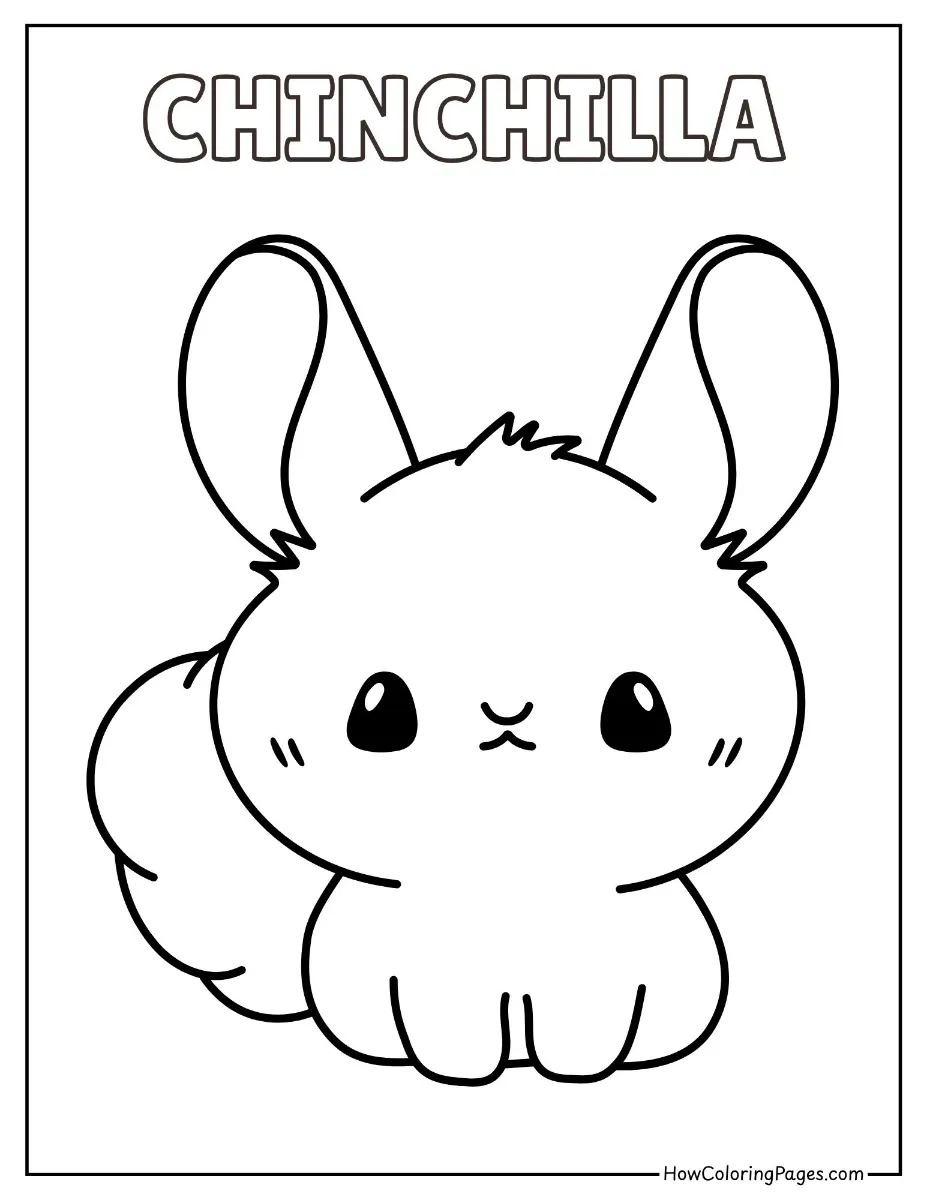 🐾 Pet Animal Coloring Pages – Free PDF Printables for All Ages 11 Fluffy chinchilla coloring page with big ears and whiskers.