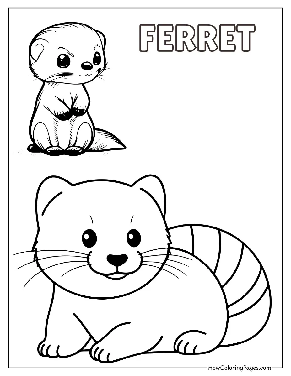 🐾 Pet Animal Coloring Pages – Free PDF Printables for All Ages 10 Friendly ferret with long body – printable pet coloring sheet.