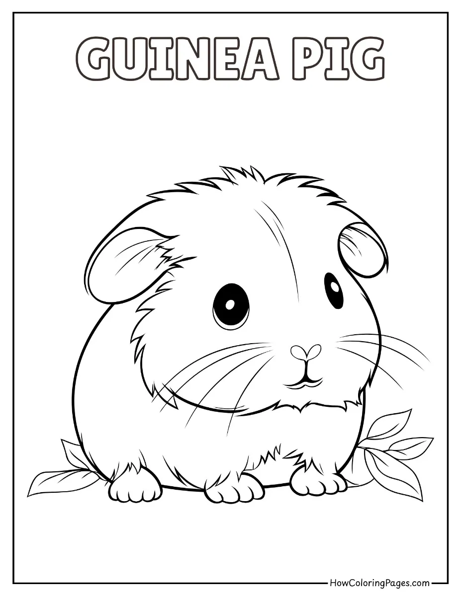 🐾 Pet Animal Coloring Pages – Free PDF Printables for All Ages 9 Sweet guinea pig coloring page – great for small pet lovers.