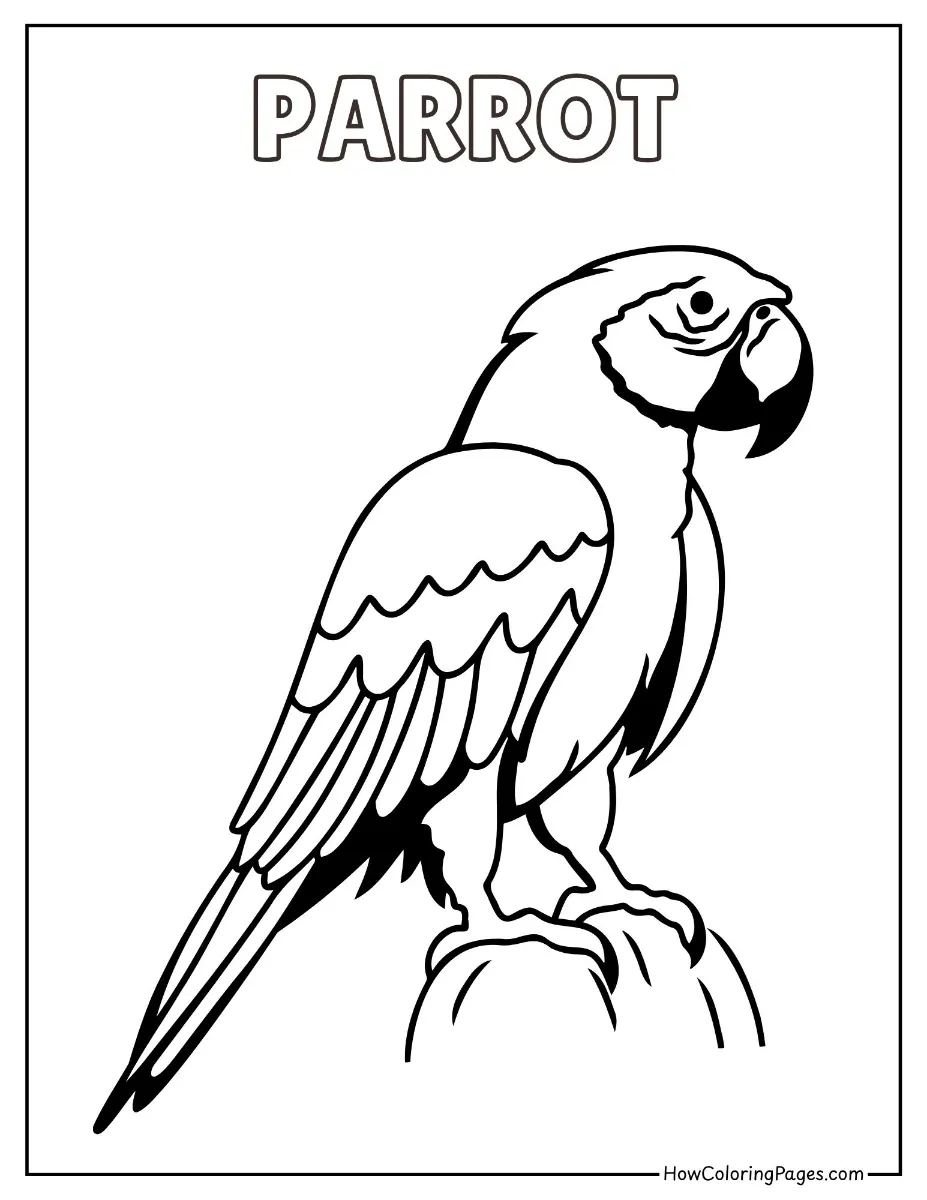 🐾 Pet Animal Coloring Pages – Free PDF Printables for All Ages 7 Parrot perched on a branch – fun bird coloring page.