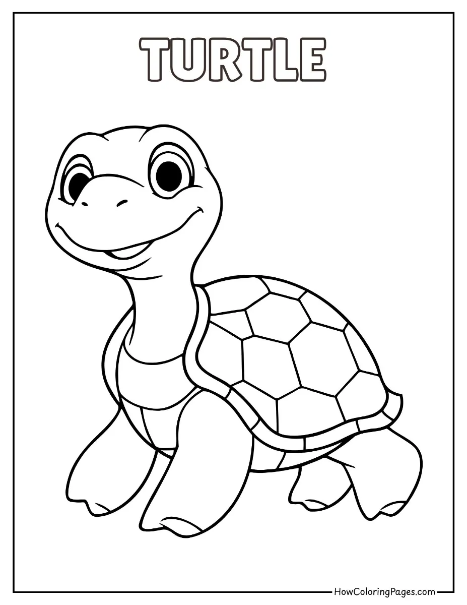 🐾 Pet Animal Coloring Pages – Free PDF Printables for All Ages 8 Easy-to-color turtle with a round shell – pet turtle page.