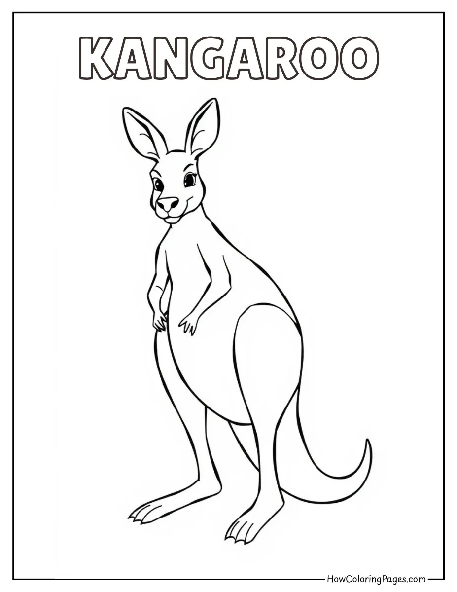 Kangaroo – wild animal coloring page for kids