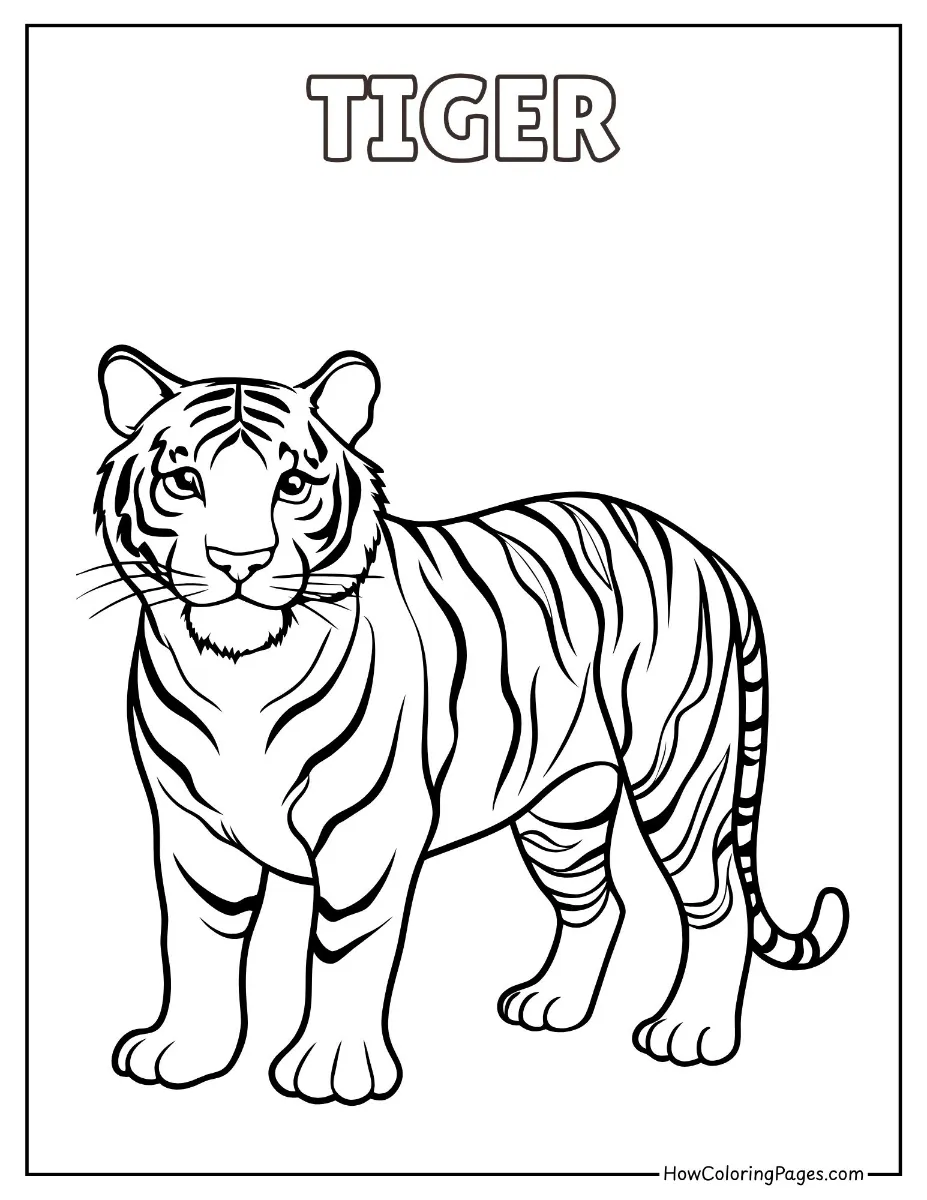 Majestic tiger standing proudly – free wild animals coloring printable