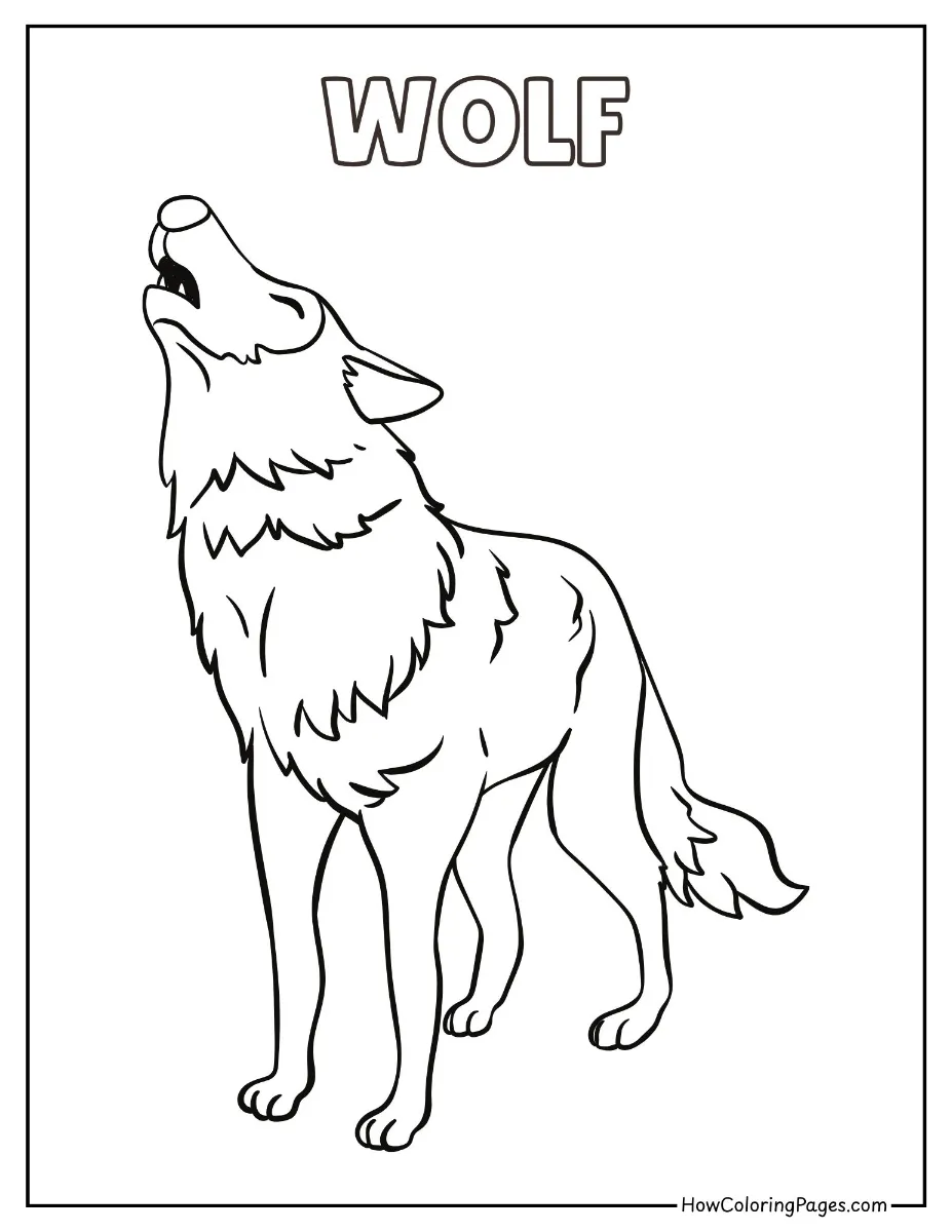 Alert wolf standing in nature – free wild animal coloring sheet