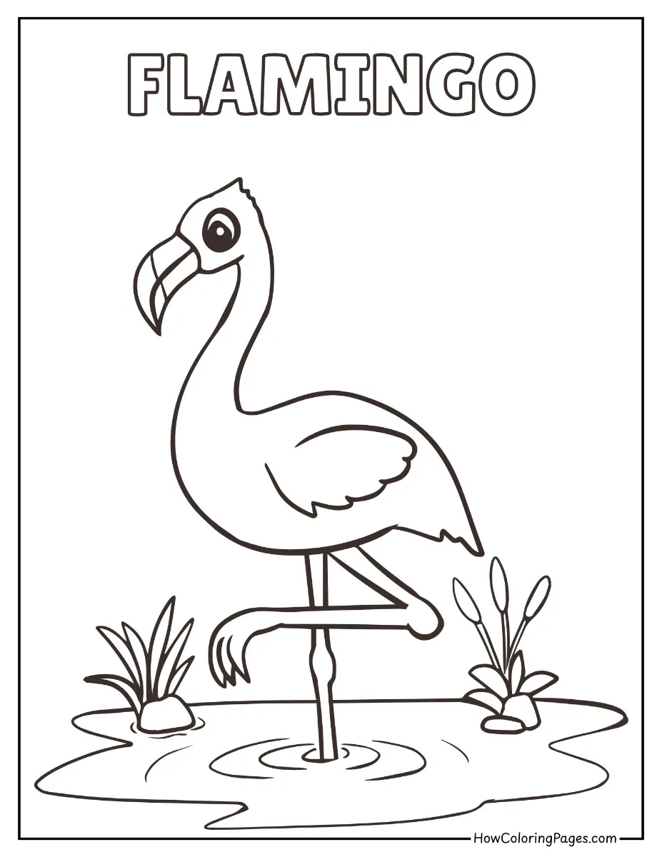 🦁 Zoo Animal Coloring Pages – Free PDF Printables for All Ages 14 Flamingo standing on one leg – printable zoo coloring page