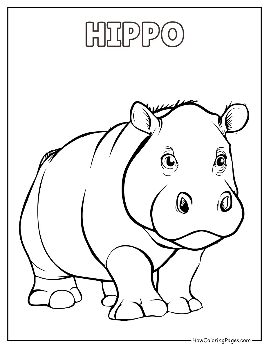 🦁 Zoo Animal Coloring Pages – Free PDF Printables for All Ages 12 Happy hippo – zoo animal coloring printable