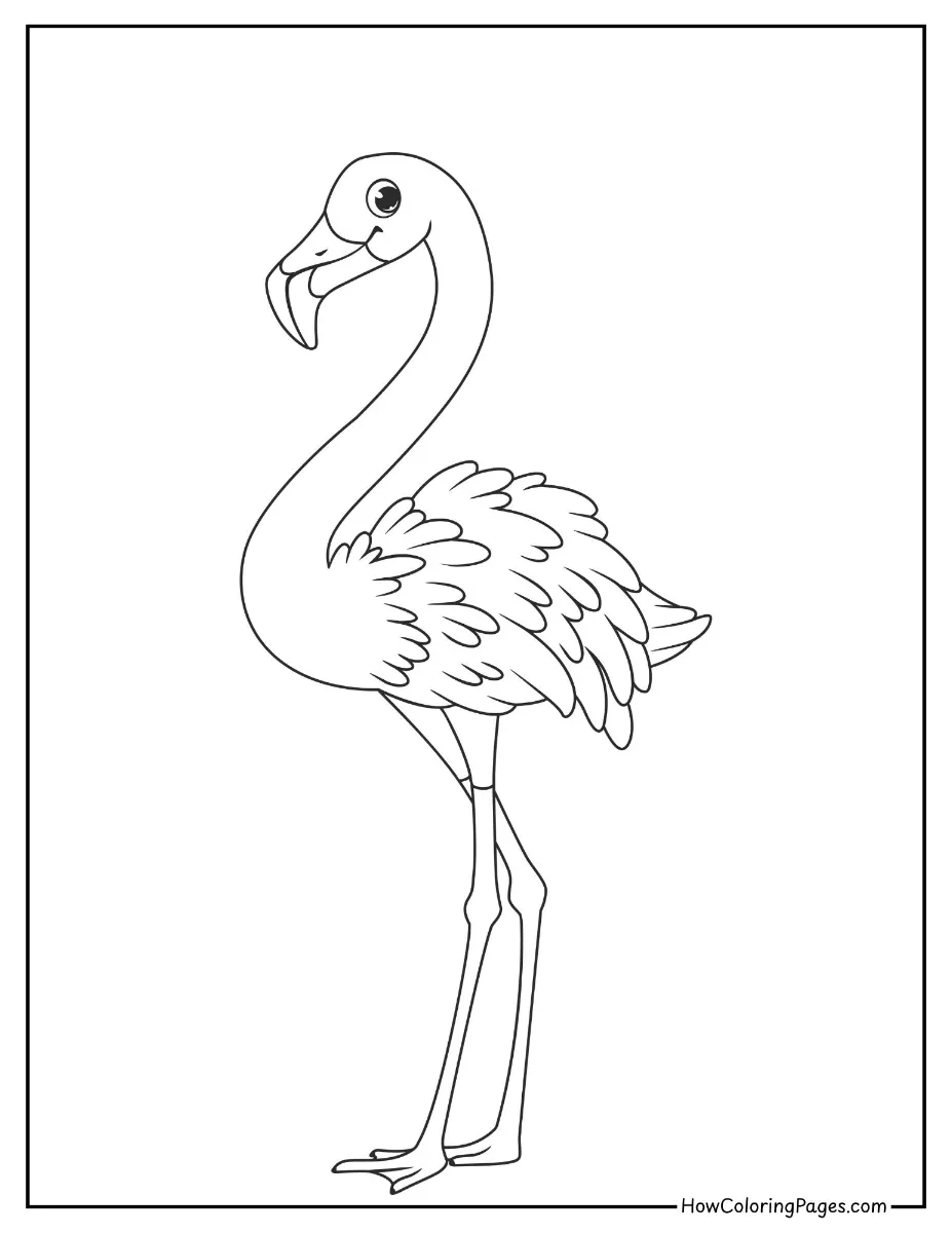 🦁 Zoo Animal Coloring Pages – Free PDF Printables for All Ages 20 Easy flamingo outline – beginner zoo animal coloring page