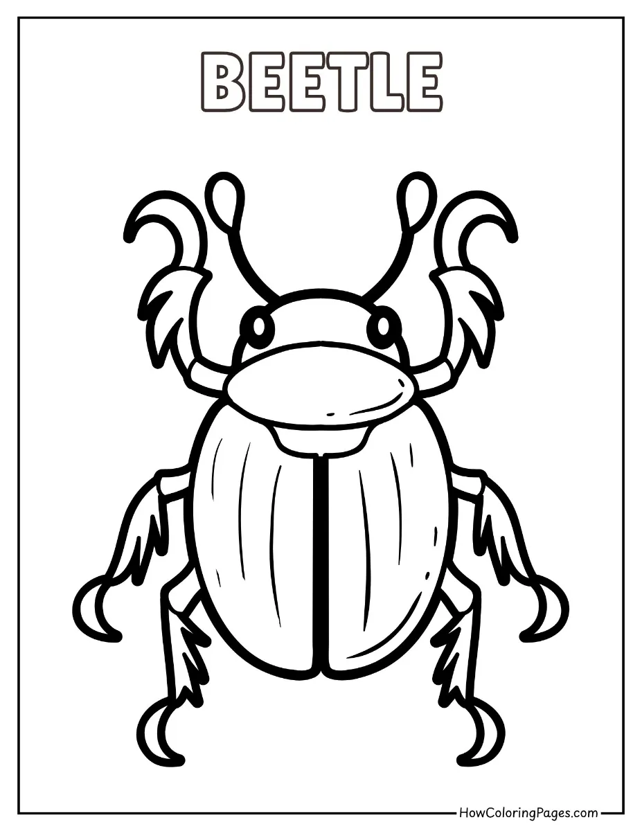 π Insects Coloring Pages β Free Printable PDF for Kids 13 Simple cartoon beetle coloring pages