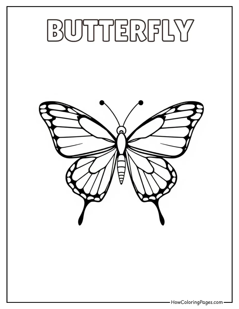 π Insects Coloring Pages β Free Printable PDF for Kids 14 Beautiful butterfly with open wings coloring page
