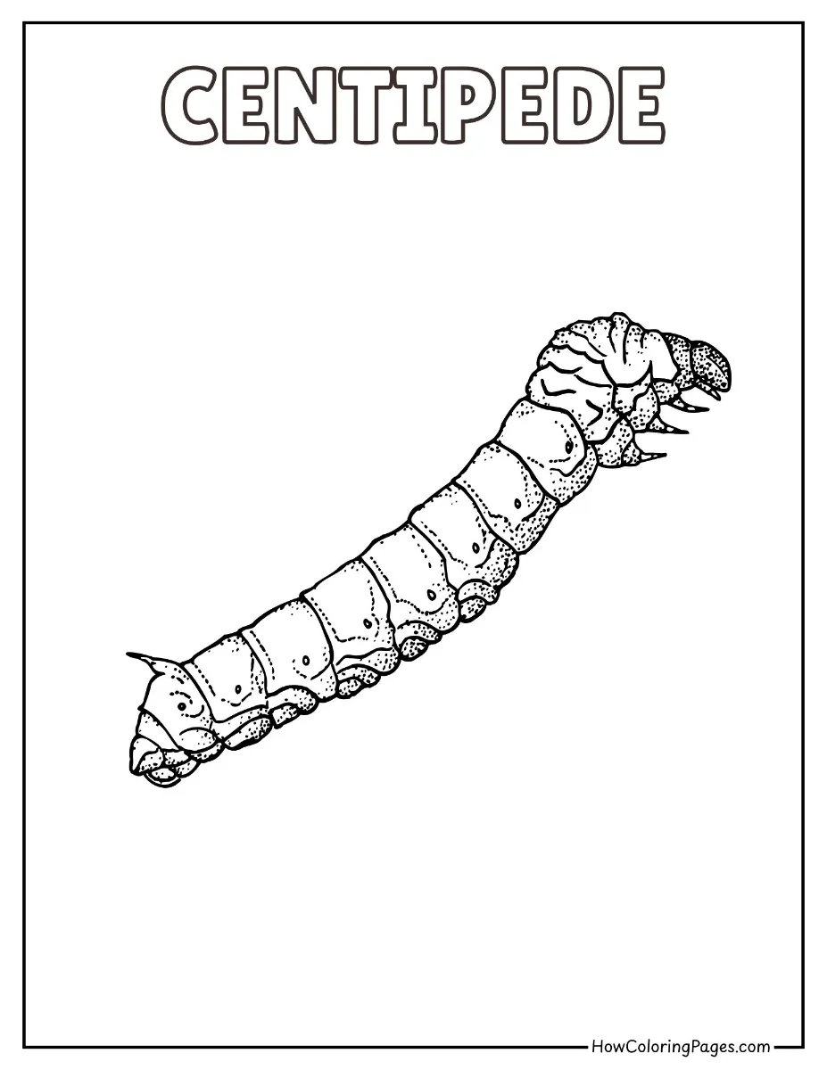 π Insects Coloring Pages β Free Printable PDF for Kids 16 Cartoon centipede with many legs coloring page
