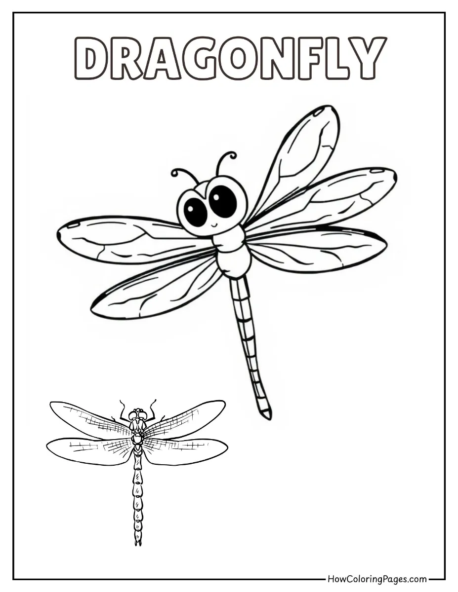 π Insects Coloring Pages β Free Printable PDF for Kids 17 Dragonfly with long wings flying coloring page