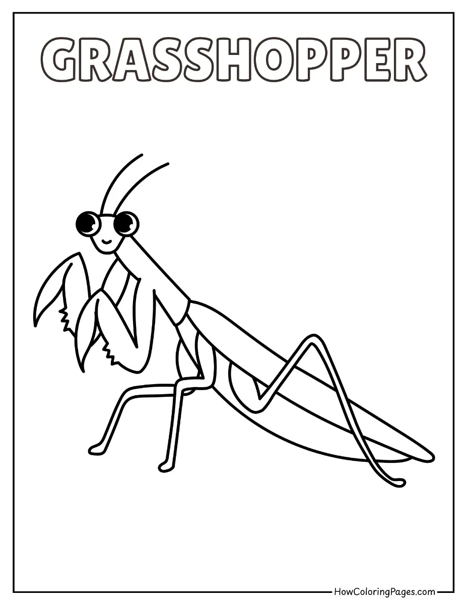 π Insects Coloring Pages β Free Printable PDF for Kids 7 Grasshopper with long legs coloring page