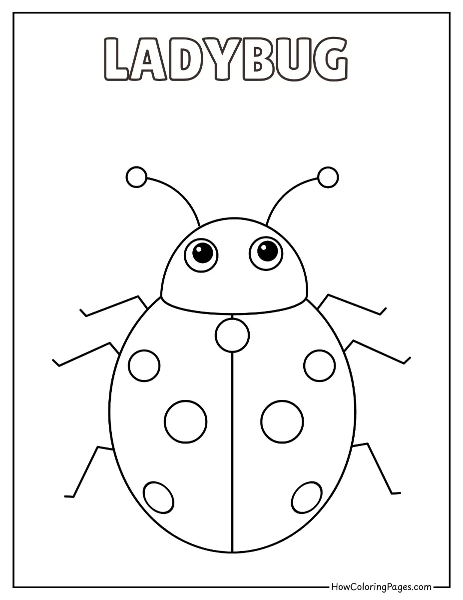 π Insects Coloring Pages β Free Printable PDF for Kids 10 Ladybug with spots - insects coloring pages